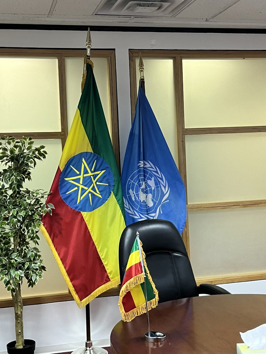 Lulit Yonas Mengesha tweet media