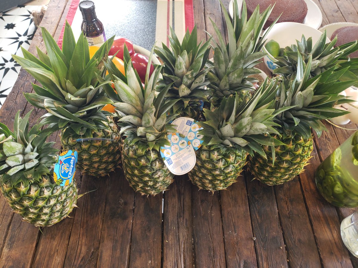 Teriyaki grilled pineapple bowls with orange ginger chicken and fried rice with broccoli and pineapple. Jalapeño spiced watermelon and lime frozen 'ritas. Oh yeah. The prep is on.