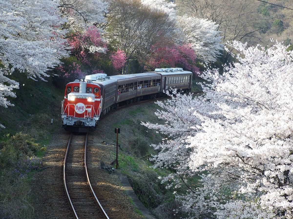 Explore the unseen. #trainphotography #holiday #travelpics -SAVEATRAIN.COM