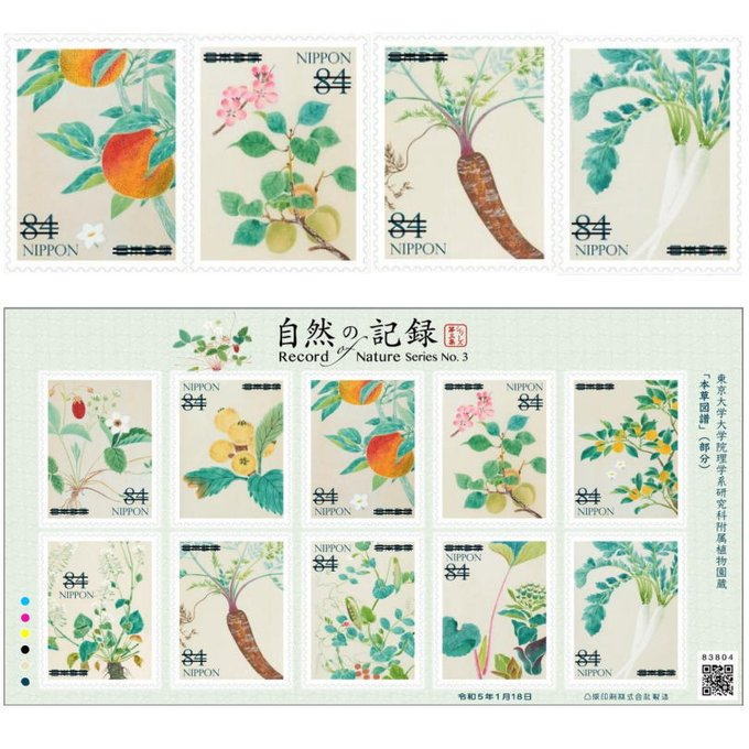 今日5月4日は「みどりの日」に緑を守ろうということで、「植物園の日」だそうです。 紹介するのは「自然の記録シリーズ第3集」切手(2023年発行)で、本草学者・岩崎灌園による日本最初の植物図鑑「本草図譜」に描かれた果実と植物です。