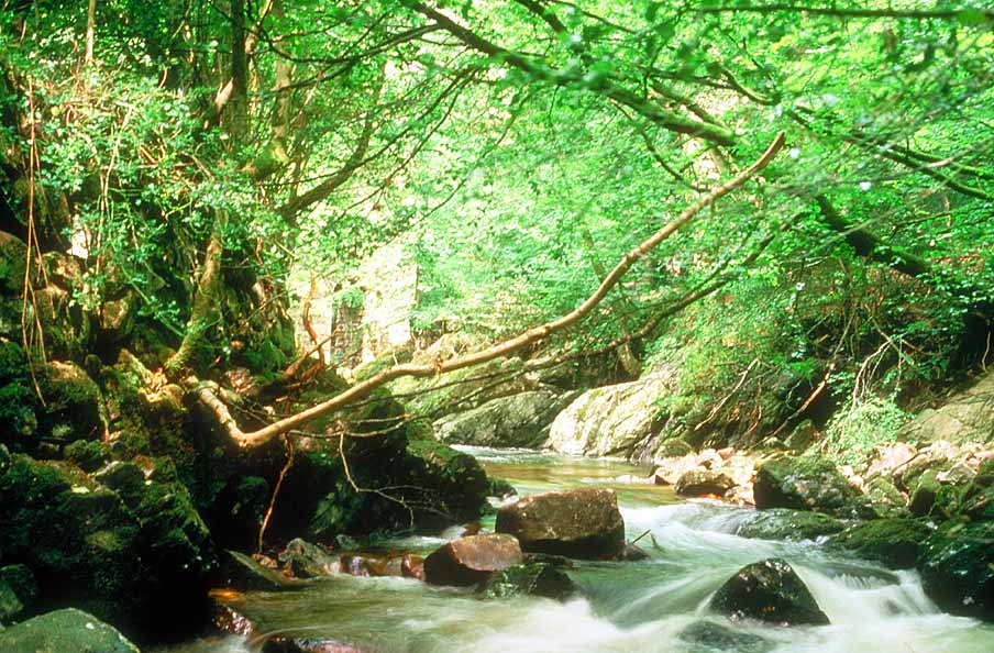 (4/31)#TravelSaturday #NationalWalkingMonth #Ilovetotravel #WalkThisMay
@livingstreets

Welcome to #Ivybridge in #Devon!