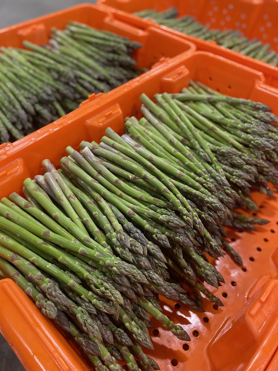 Cue the excitement! Asparagus season is HERE 😁 #ontag #LoveOntFood #SupportLocal #Harvest24 @onasparagus