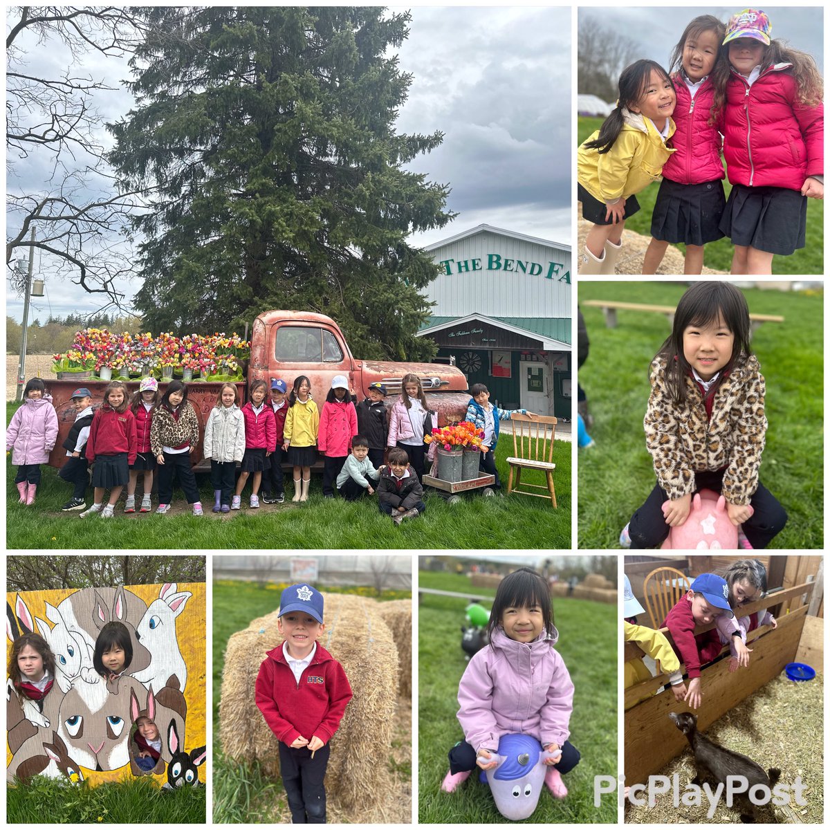 Ask us about our trip to Round the Bend Farm 🚍🐮🐐🐥🌱🌻 We had so much fun! Thank you to our parent volunteers! 🥰 @HTSRichmondHill