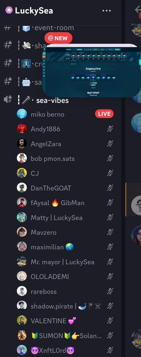 This is how we vibe at @LuckySeaGG 👈 ✅️ 100+ Matic FP! ✅️ less than 15 listings! ✅️ FREE Holder Chests per week! ✅️ New Luckysea Boxes! + the Captains listen to their community well. 👀 Forever bullish on @LuckySeaGG, @fred_mvp, the Luckysea team, and the community 🌊