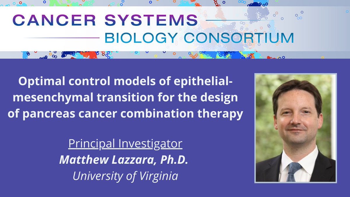Dr. Matthew Lazzara (@LazzaraLab) et al. @UVA #NCICSBC are developing a new approach for engineering combination therapies to treat #PancreaticCancer. cancer.gov/about-nci/orga…