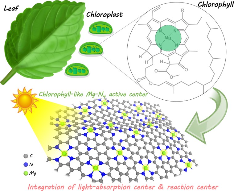 Artificial Chlorophyll-like Structure for Photocatalytic CO2 Chemical Fixation chinesechemsoc.org/do/10.5555/45d… 

#chemistry #openaccess #science #chemtwitter