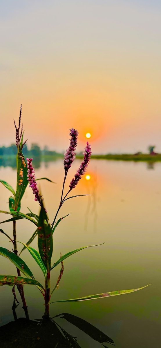 Time always finds us together… Serene evening of peace 🌾🧡 #PrayersForLouna