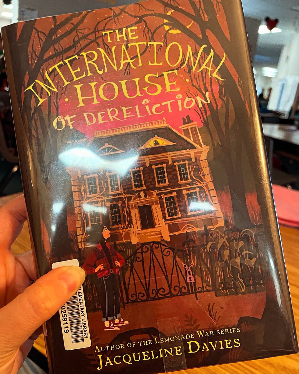 Ashley Findlay tweet media