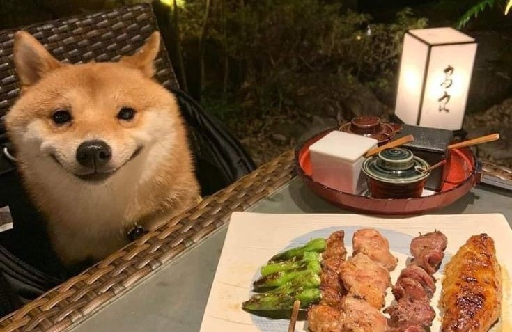 'El dinero no te da felicidad'
Yo bien feliz gastando dinero en comida: