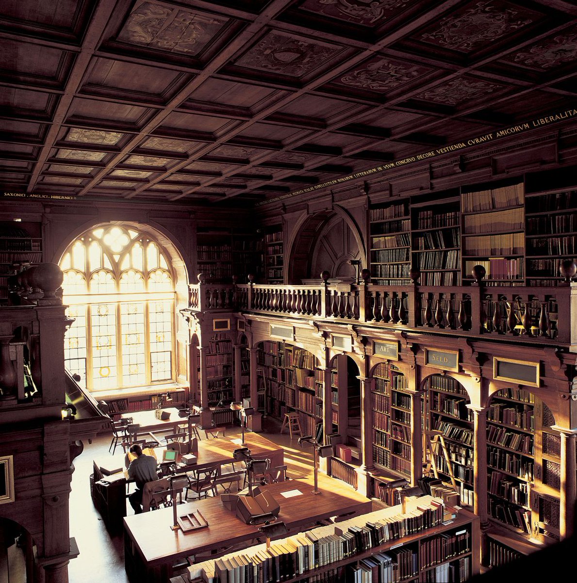 Another of my series of library posts for #SomethingBeautiful
Duke Humfrey's Library, Oxford
#LoveLibraries #EveryLibraryMatters #Libraries #Library #LibraryTwitter