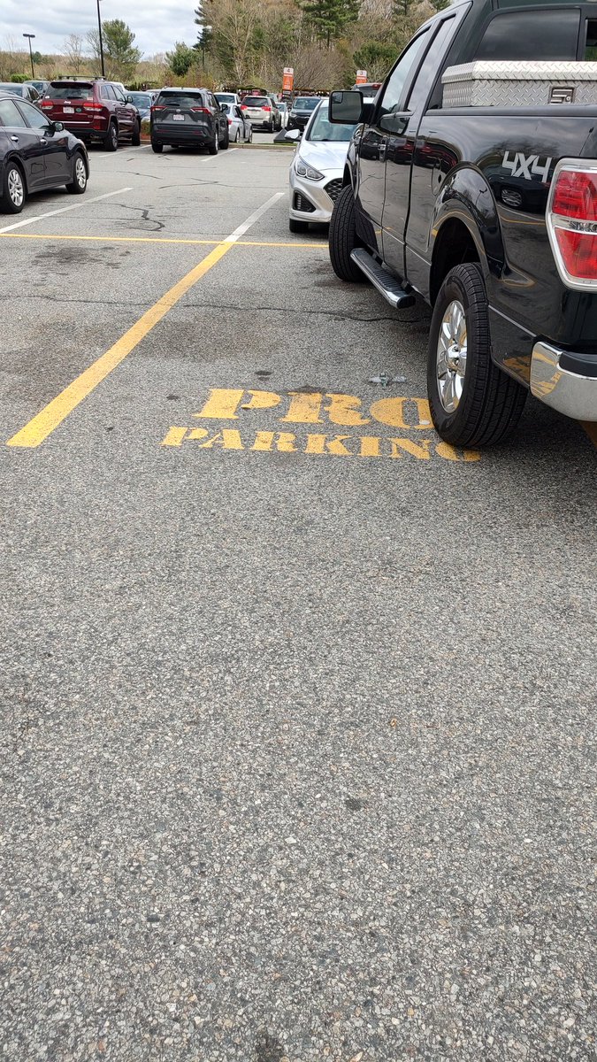 Oh, the irony 🙄 Mom took this pic at Home Depot today. I think he should have parked in the Amateur parking area 😁 #Irony #BadParking #Funny #Dogs