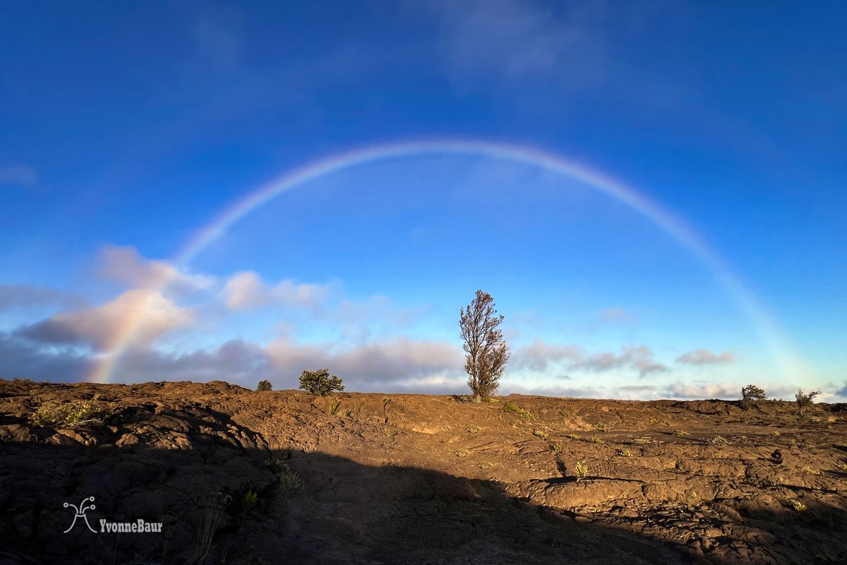 HPPA's Yvonne says, 'I took this shot a few weeks ago in the Kaʻu desert, after work (at the HVNP HPPA park store).  I wanted to do a nice evening trail run but it was raining everywhere but in the Kaʻu desert.'
🌈🌋
#TeamHPPA #ThisIsWhereWeWork #HawaiiVolcanoes #HawaiiRainbows
