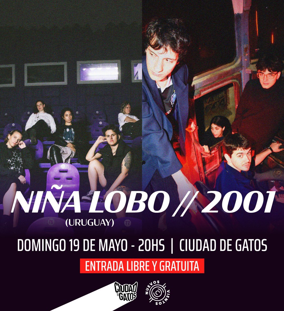 Niña Lobo (@ninalobouy) on Twitter photo 🇦🇷 La Plata! El 19/5 vamos a estar tocando en Ciudad de Gatos junto a 2001!!
🎟️ Entrada libre y gratuita!!
Prod por <a href="/nuevosvientosLP/">NUEVOS VIENTOS</a> 🤍🤍 🇦🇷 La Plata! El 19/5 vamos a estar tocando en Ciudad de Gatos junto a 2001!!
🎟️ Entrada libre y gratuita!!
Prod por <a href="/nuevosvientosLP/">NUEVOS VIENTOS</a> 🤍🤍