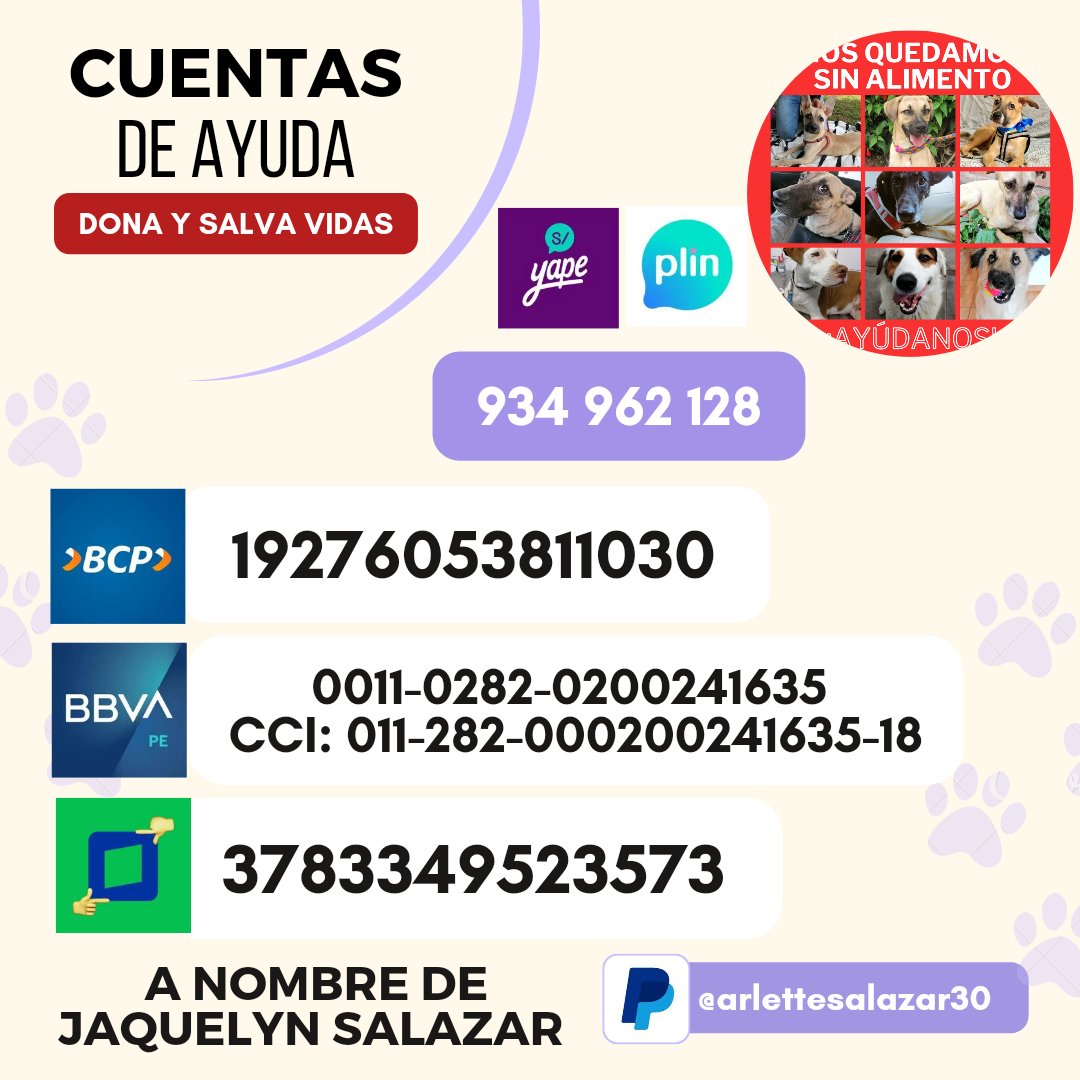 NOS QUEDAMOS SIN ALIMENTO 🆘😥 Amigos no hemos tenido suerte en lograr adopciónes💔 Y ya no tenemos croquetas para 🐕🐈. Sino puedes adoptar #Apadrina 🙏🏼 1 saco croquetas kitten s/173 1 saco croquetas perritos s/155 ❤️‍🩹YAPE/PLIN 934 962 128 JAQUELYN #RT ⤵️ paypal.me/arlettesalazar…