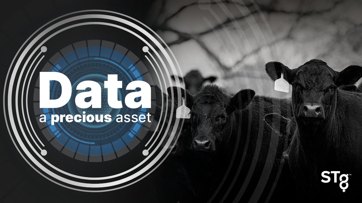 #Blockchain to create a transparent market! If the blockchain #Technology delivers as the tech-savvy entrepreneurs believe it will, the #CattleIndustry will improve its ability to share production data. To read more: drovers.com/news/industry/…
#STgenetics