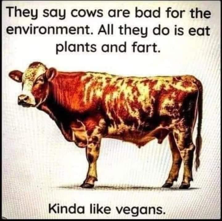 #Cows #bad #environment #eat #plants #EatPlants #fart ❤️🤣