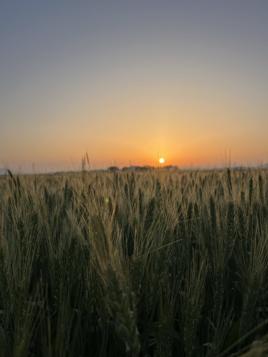 おはようございます☀