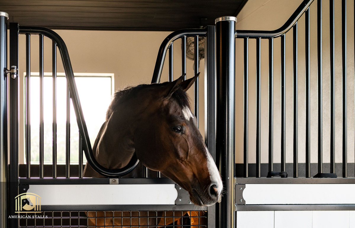 Our Horse Stalls feature interior concealed welds for our 1' round bars. This small detail protects your welds from daily barn rigors. It also makes for a beautiful, sleek aesthetic – all while safely spaced on 3' centers✨

#Equestrian #DreamBarn #HorseStalls #DetailsMatter