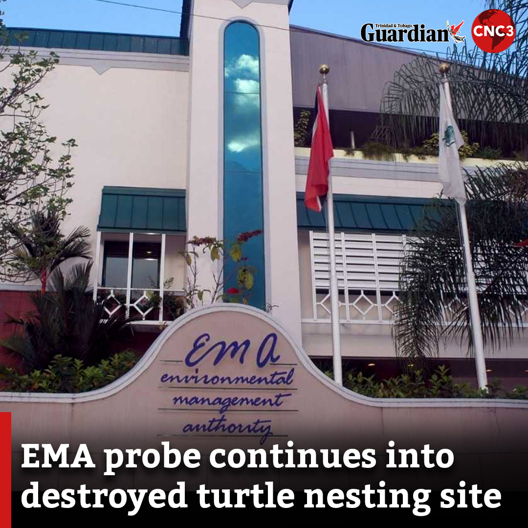 A hefty fine and prison time are awaiting those behind the recent excavation works at Turtle Beach, which led to the destruction of a nesting site for endangered leatherback turtles. The EMA says those responsible will be brought to justice. For more… cnc3.co.tt/ema-probe-cont…