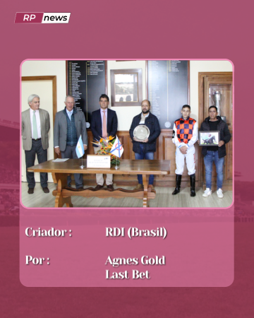 Revista Palermo tweet media