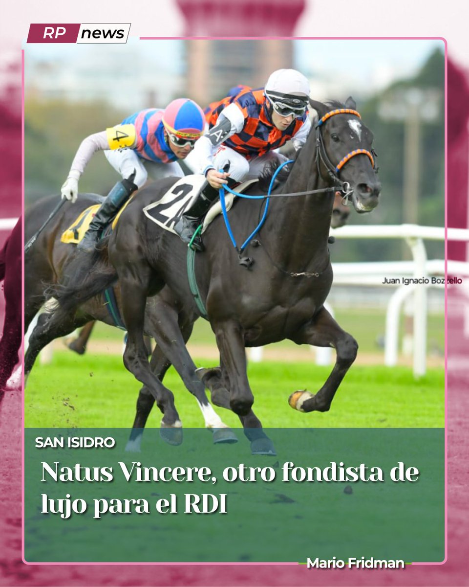 Revista Palermo tweet media