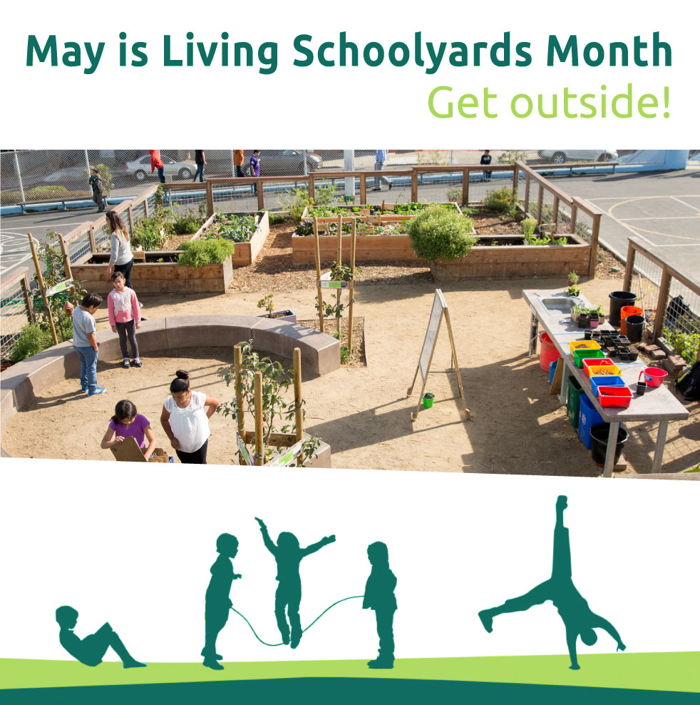 May is Living Schoolyards Month! We hope you will take some time to go outside on school grounds with students of any age, to engage in outdoor learning, play and other activities. Learn more and download our free schoolyard activity guides on our website greenschoolyards.org/guides
