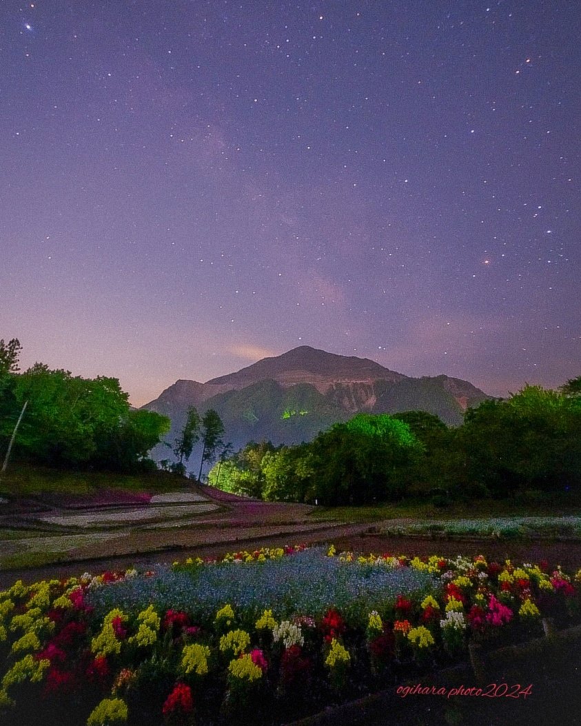 5/2未明の芝桜の丘天の川銀河です✨
メイン処の芝桜は終わってしまったので右側奥のベンチ側の芝桜花壇より撮影しました。
ベンチ下に落とし物の黒い巾着袋を拾い、お財布、免許証、保険証、カード現金が入ってましたので秩父警察署にお届けしました。神奈川県平塚市の方でした。
#芝桜の丘 #秩父観光