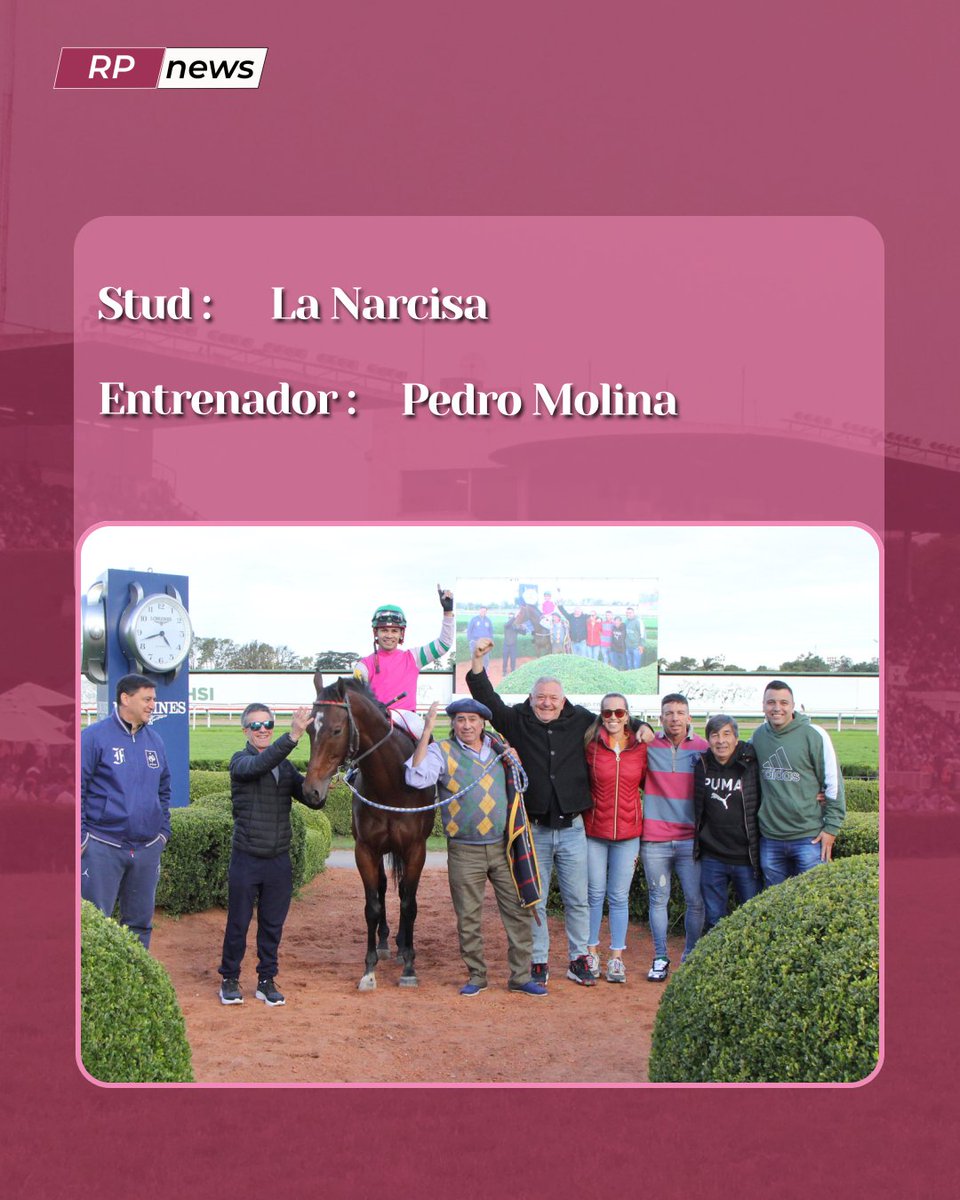 Revista Palermo tweet media