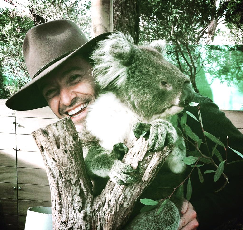 Here’s a fun, adorable memory to celebrate International Wild Koala Day and take us into the weekend! 🐨 #HughJackman #InternationalWildKoalaDay #FBF #FlashbackFriday 📷: Hugh Jackman (July 3, 2015)