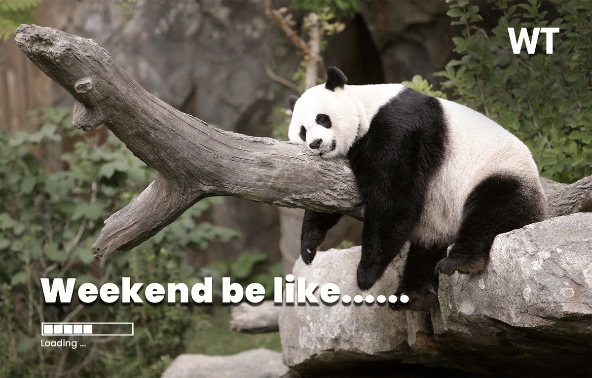 websteptech's tweet image. Weekend be Like 
#LifeAtWebstep