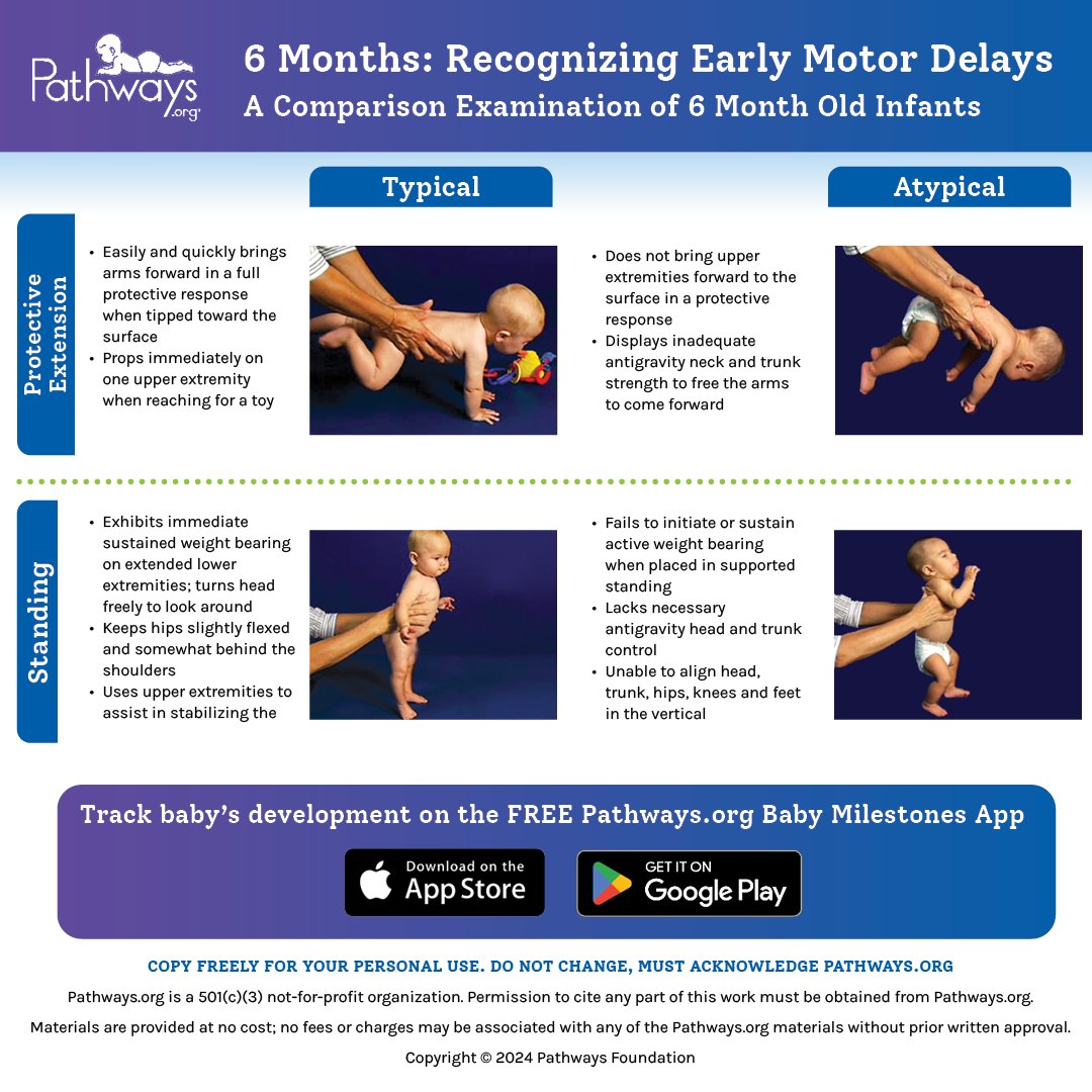 Have you been following our 6 Month Typical/Atypical Motor Development series? Download this printable guide for FREE in English, Greek, Mandarin, Portuguese, and Ukrainian here: bit.ly/3LjbNqR #physio #pediatrictherapy #pediatrics #medtwitter #babyhealth