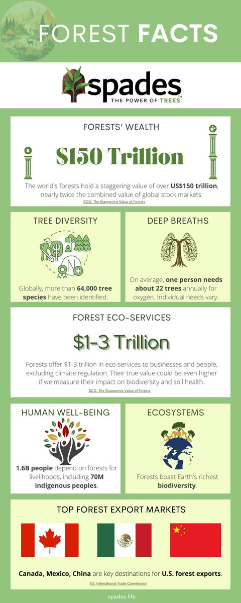 Knowledge is power, especially when it comes to our forests! Check out our infographic and become a forest champion today. #ForestAware #EcoChampion #ForestsForever #NatureLover #PowerOfTrees Please RT, follow, and check us out at spades.life