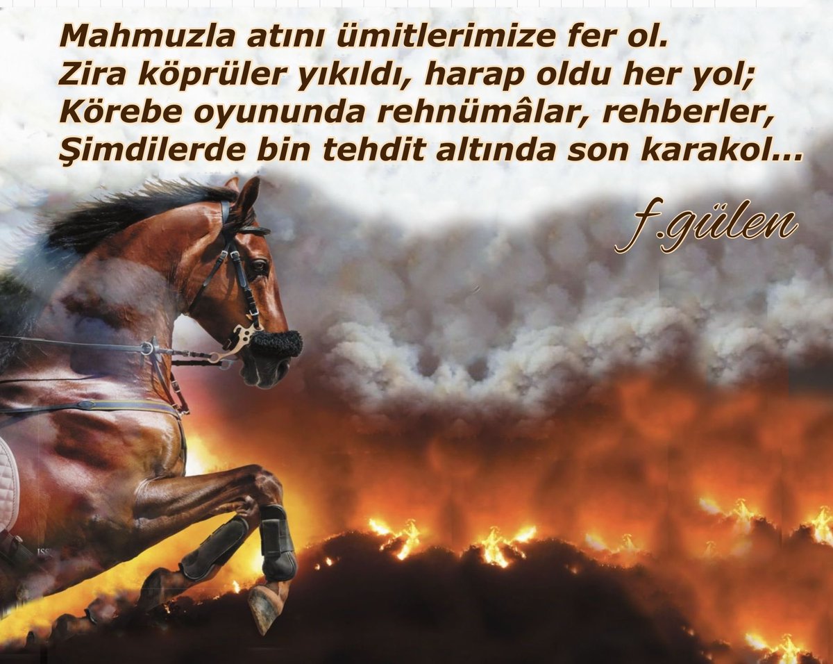 Mahmuzla atını ümitlerimize fer ol.
Zira köprüler yıkıldı, harap oldu her yol; 
Körebe oyununda rehnümâlar, rehberler, 
Şimdilerde bin tehdit altında son karakol...
# FGülen