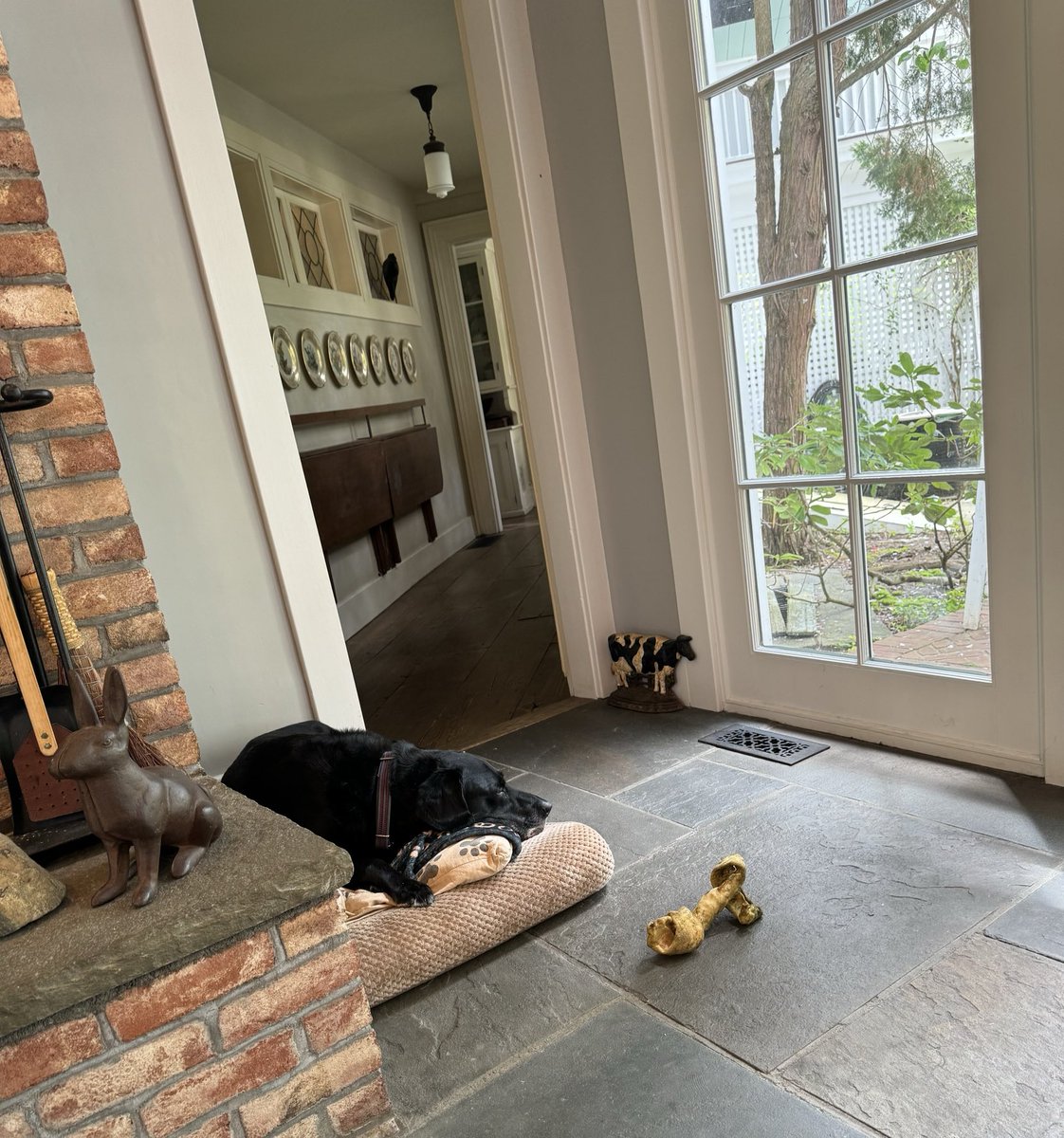 Nothing to see here. Just a dog and his (newly discovered) bone enjoying a rest.