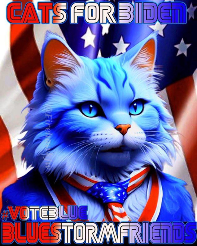 #wtpBLUE #wtpGOTV24 #VoteBlue President Joe Biden is the cats' meow! Can't wait until we bury the sleepfarter 🐈‍⬛💩⏳️⌛️ on November 5th, 2024!!