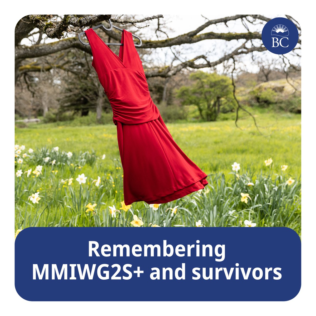 In 2011, an art installation of red dresses by Jamie Black sparked renewed awareness of #MMIWGS2S+ across Canada. Red Dress Day is a day to remember those lost and to support communities affected. Together, we can stop the violence. gov.bc.ca/End-Gender-Bas…