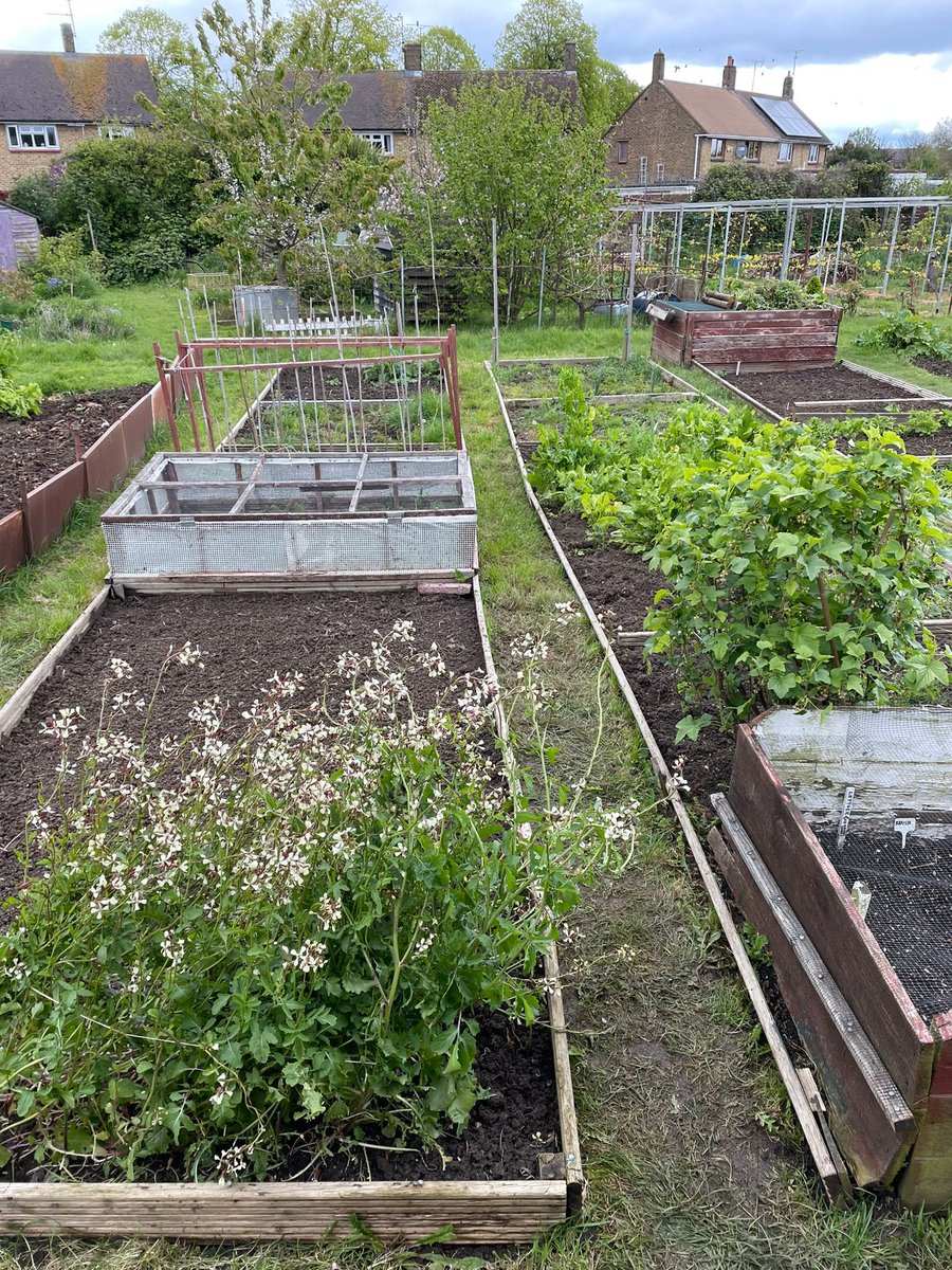 Wow!!! We have an incredible volunteer who is keeping the Folk Like Us Muddy Hub in shape for us.  We said if you can keep it ‘ticking over’….talk about going above and beyond.  We’ve 
never seen it look so good!!  Thank you so much.  A-MAZING! 🙌🏻🌱 <a href="/savs_southend/">SAVS</a>  <a href="/TNLComFund/">The National Lottery Community Fund</a>