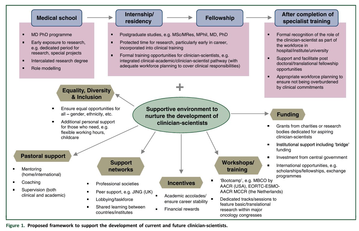 Young oncologists’ perspective on the role and future of the clinician-scientist in oncology. @ESMO_Open 📖 DOI 👉🏻 /10.1016/j.esmoop.2023.101625 #yo #esmo @myESMO