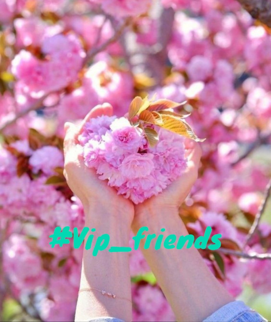 #VIP_FRIENDS ⭐ @JB22BRASIL @MERRY_ZAE @jusevar25 @khg_84 @Efamy_ @Mohyra_ @Kirone24 @EDACEDI @ALESXIA_ANK @_Fiel_Seguidor @MARTHA_CAN2 🌺 @_ALESXIA @VIO_LET9 @_ALAN220 @LauraM24960 @Hapalochlaena2 @GRAHAM15583 @nuvisionquestt3 @mhmd97372745 @Lu_v_u2🌺