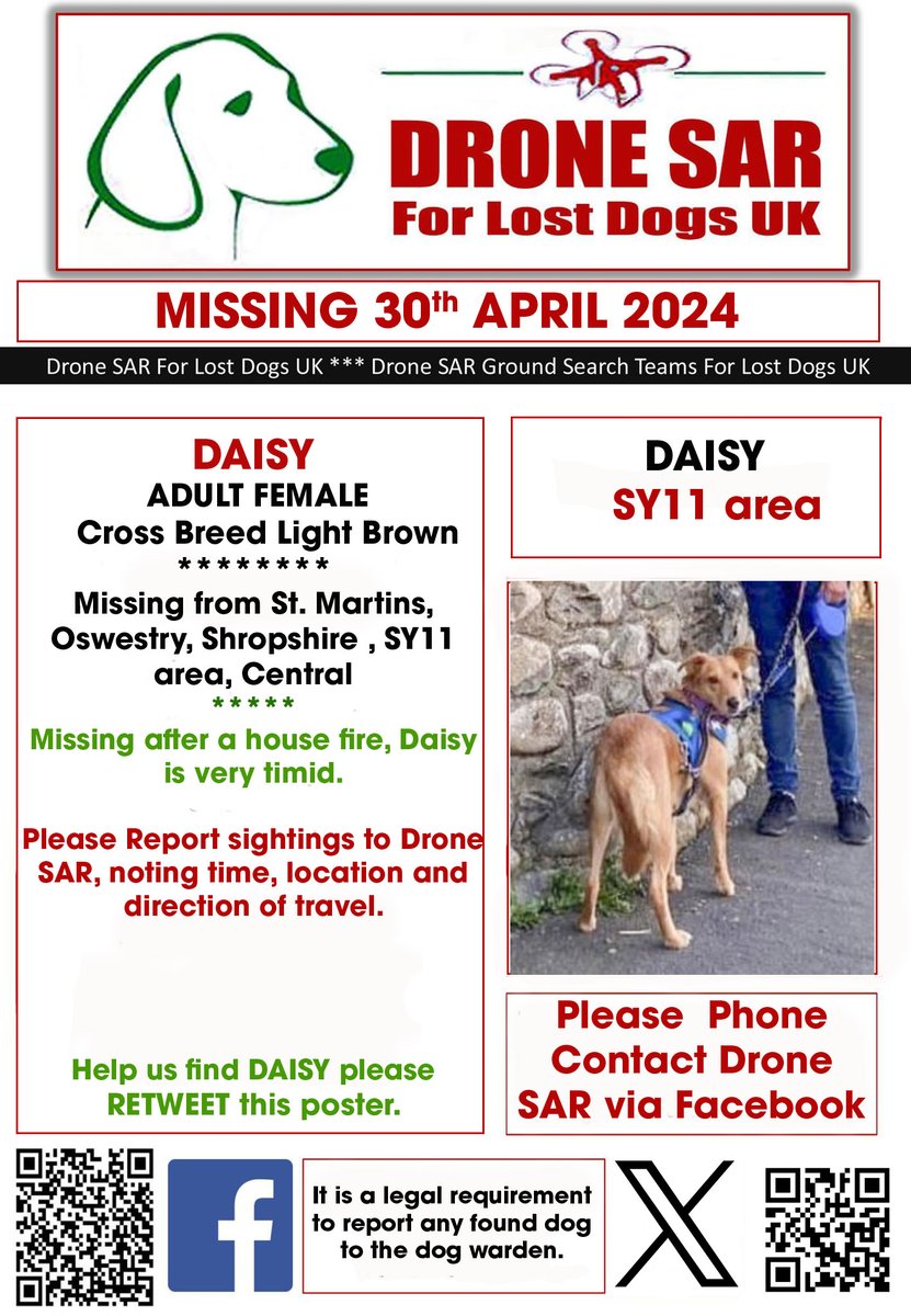 #LostDog #Alert DAISY
Female Cross Breed Light Brown
Missing from St. Martins, Oswestry, Shropshire , SY11 area, Central on Tuesday, 30th April 2024 #DroneSAR #MissingDog
