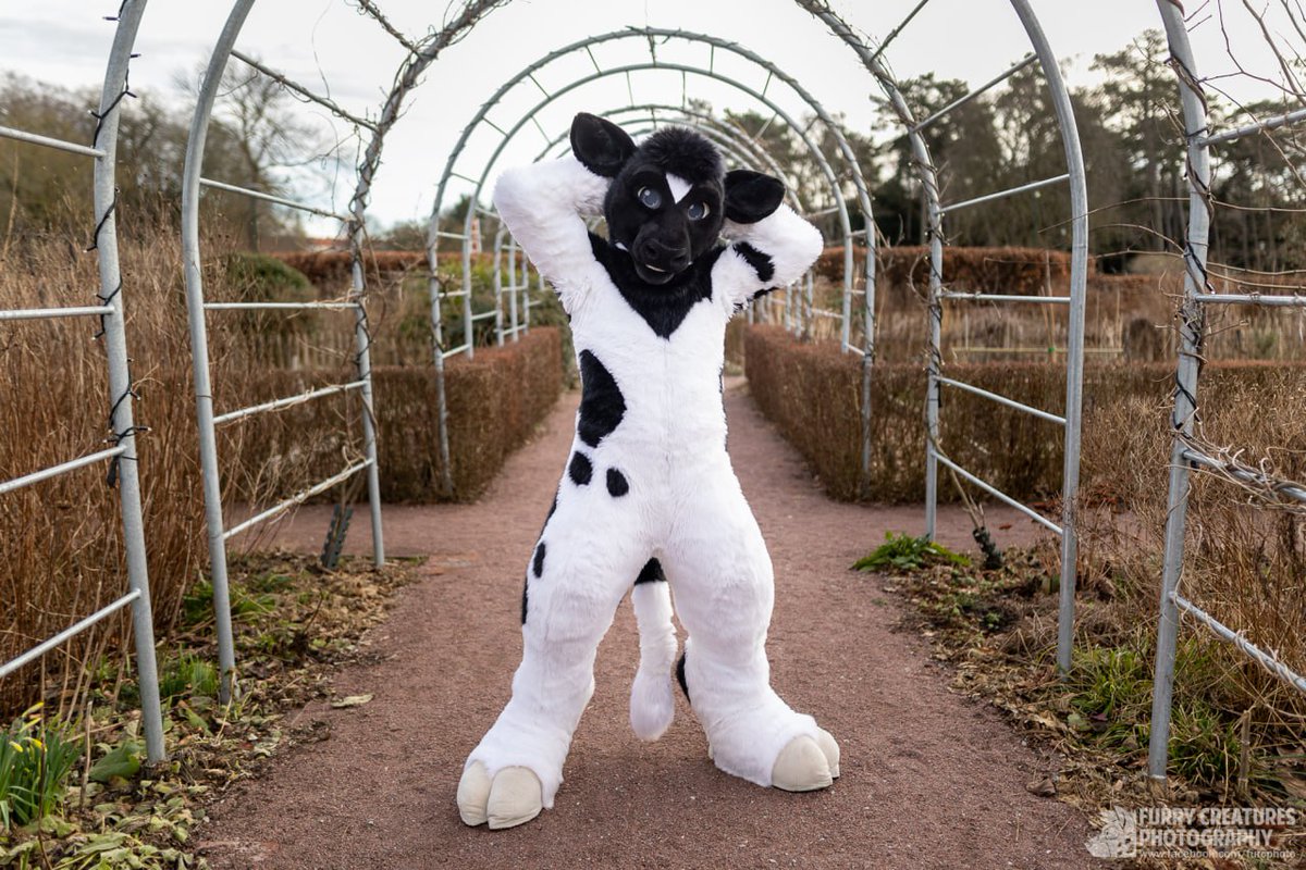 Exploring the botanical gardens in Malmö, in the middle of winter during NordicFuzzCon?

Sure, why not?

My fluffy self, wonderfully made into a fursuit by the amazing @GoFurItstudios!

Photo by the awesome @FurCPhoto 

#FursuitFriday #furries