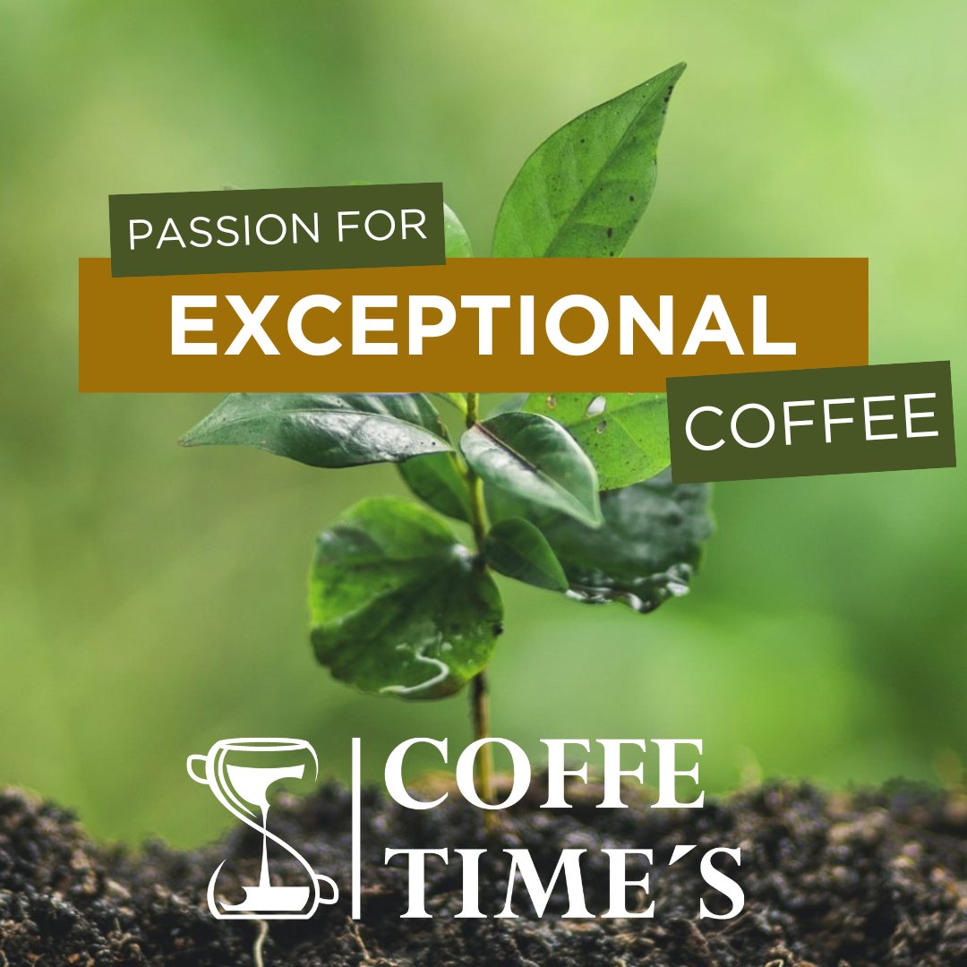 🌱 Inspiring Flavor: Discover the Guatemalan coffee that captivates taste buds! At Coffee Times, every bean tells a story of quality and passion. Visit us at www. coffetimess.com and experience it. ☕✨
#QualityCoffee #coffetime