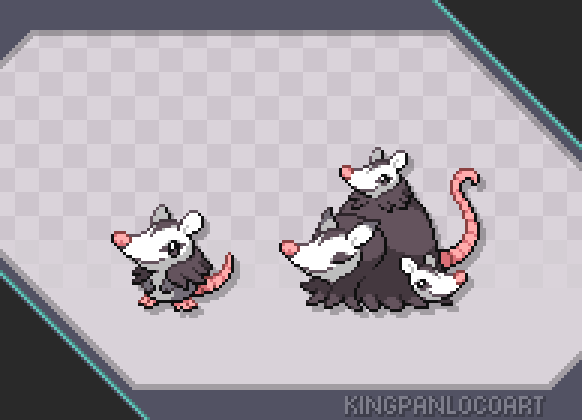 Here's my take on an early "rodent" for this #FakemonFriday
🐀 Oposee [Normal], the Opossum Pokémon
🐀 Momassum [Normal], the Mother Pokémon

They are based on the white-eared opossum, a mother with her babies and fur coats
#pokemon #fakemon