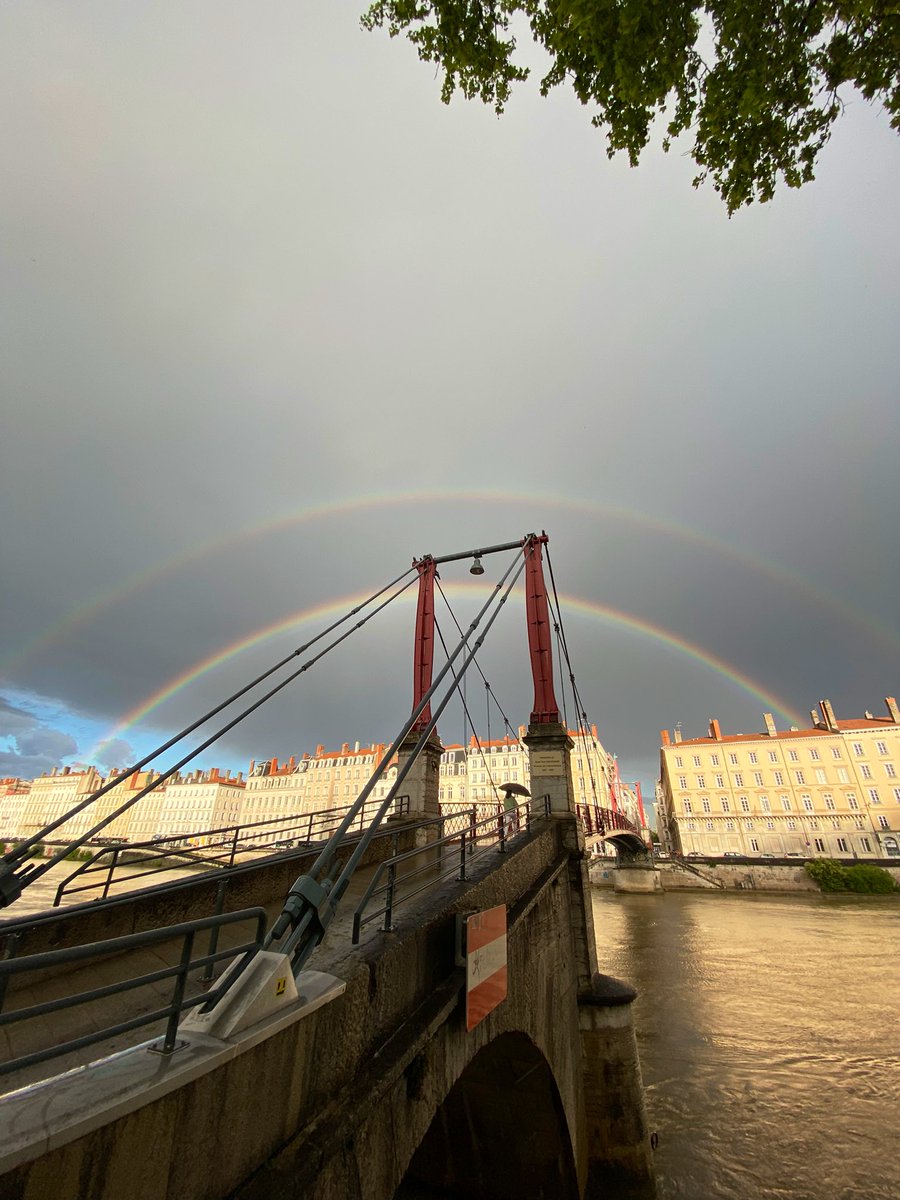 #Lyon, ce soir, un peu de douceur dans un monde de brutes ;)