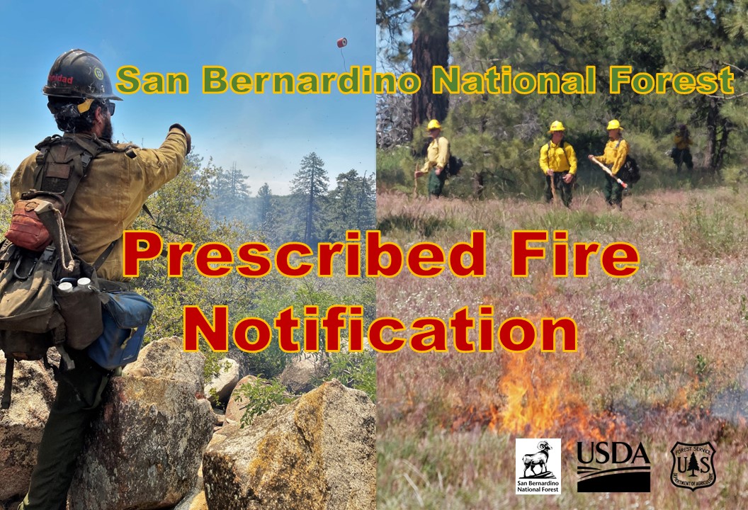 May 3: Wildland firefighters continuing a prescribed fire near Angelus Oaks & SR-38. Total of 56 acres completed this week; 150 this year. You may see and smell smoke. No need to report. #SBNF #SanBernardinoNationalForest #BDFPrescribedFires