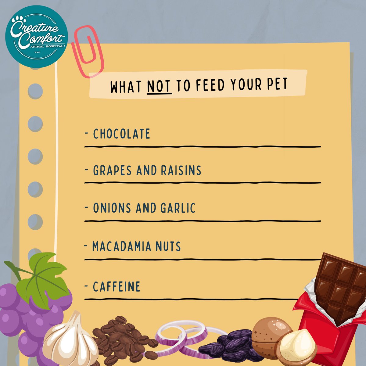 Let's talk about what NOT to feed your pets! Protect your furry friends by avoiding these toxic treats. Share to spread awareness! 🐾❌ #PetSafety #PoisonPrevention #PetWellness