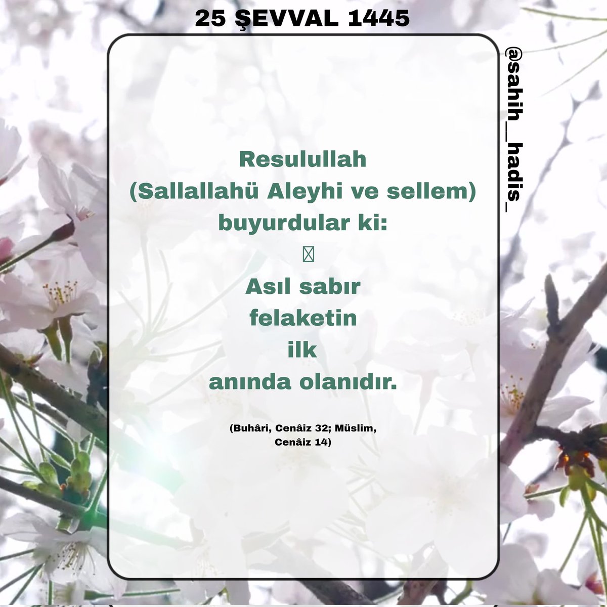 Resulullah (Sallallahü Aleyhi ve sellem) buyurdular ki: 'Asıl sabır felaketin ilk anında olanıdır. (Buhâri, Cenâiz 32; Müslim, Cenâiz 14)