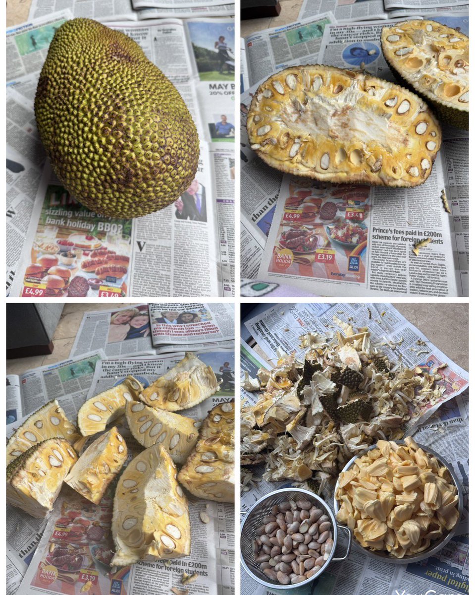 Brought back memories of my days in Mangalore where during the Jackfruit season, the entire house smelt of it. Dozens of jackfruit and no clue how to finish them all! Quite a task cutting and separating the fruit from the seed. Took me 2 hours! All worth it in the end 😀😀