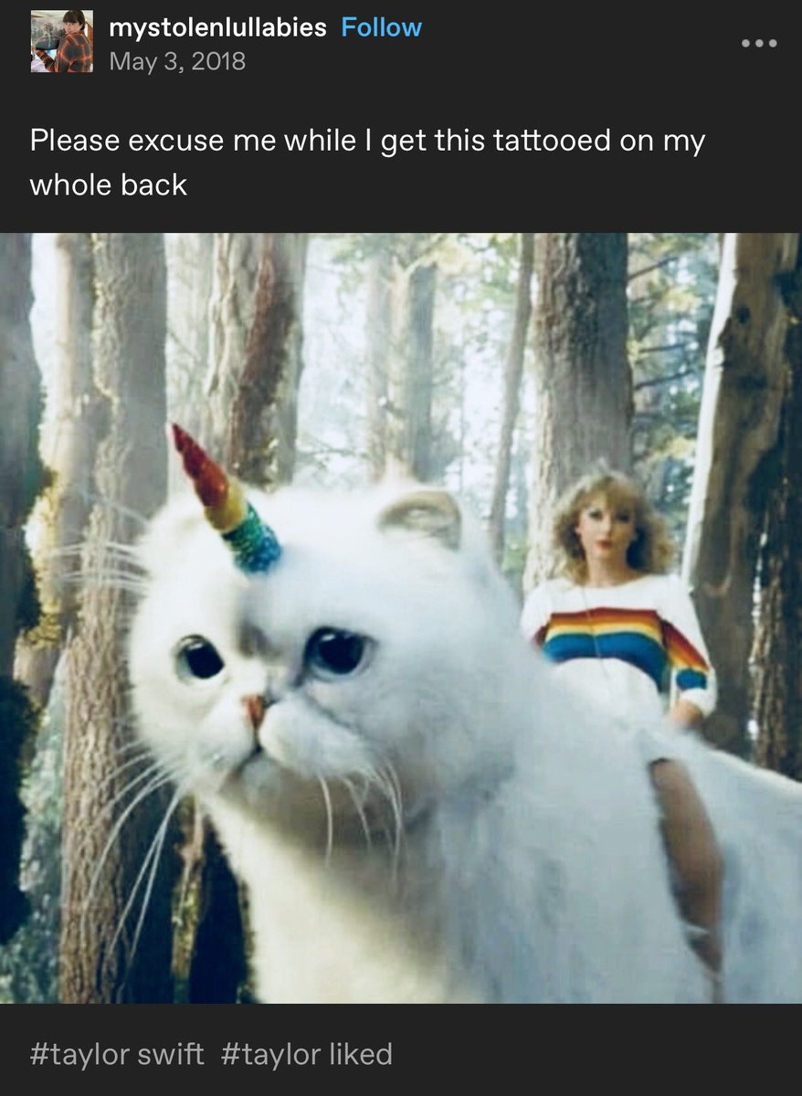 six years ago today, taylor liked a fan's tumblr post of her riding olivia, the rainbow caticorn in the direcTV now commercial:

“Please excuse me while I get this tattooed on my whole back”

may 3, 2018