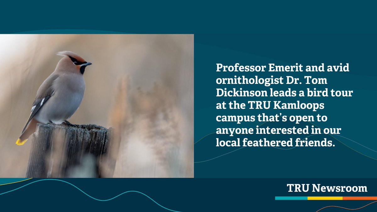 Join Professor Emerit and ornithologist, Dr. Tom Dickinson, on a bird tour at the Kamloops campus 🐦 Date: Thursday, May 23 Time: 8 a.m. to noon. Location: TRU Horticulture Gardens Read more: inside.tru.ca/2024/05/03/tru…